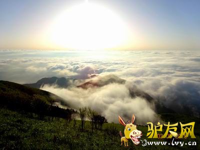 ������С DSC05924.JPG